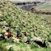 Grand Canyon backpacking descent