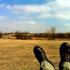 Midewin National Tallgrass Prairie