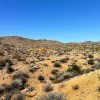 Joshua Tree National Park