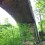 Natural Bridge State Resort Park hiking