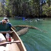 Paddling with manatees