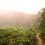 Rainforest trail Bach Ma