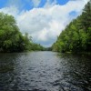 Pine River oxbow