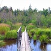 Isle Royale National Park hiking