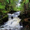 Smalley Falls Marinette County Wisconsin