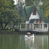 Paddleboat Lumpini