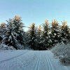 Birkie workout Nordic Trail