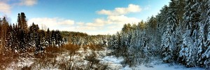 Chequamegon-Nicolet National Forest