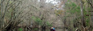 Beautiful Ichetucknee River