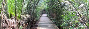 Pulau Ubin adventure Singapore