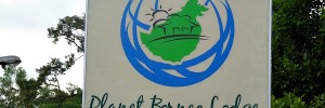 Planet Borneo