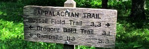 Great Smoky Mountain trail