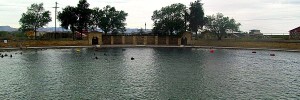 Balmorhea Lake State Park