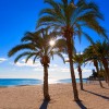 When in Alicante