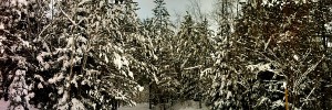 Minocqua Winter Park trail