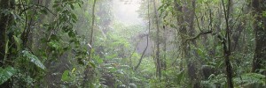 hiking Santa Elena