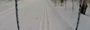 Lakewood cross-country skiing