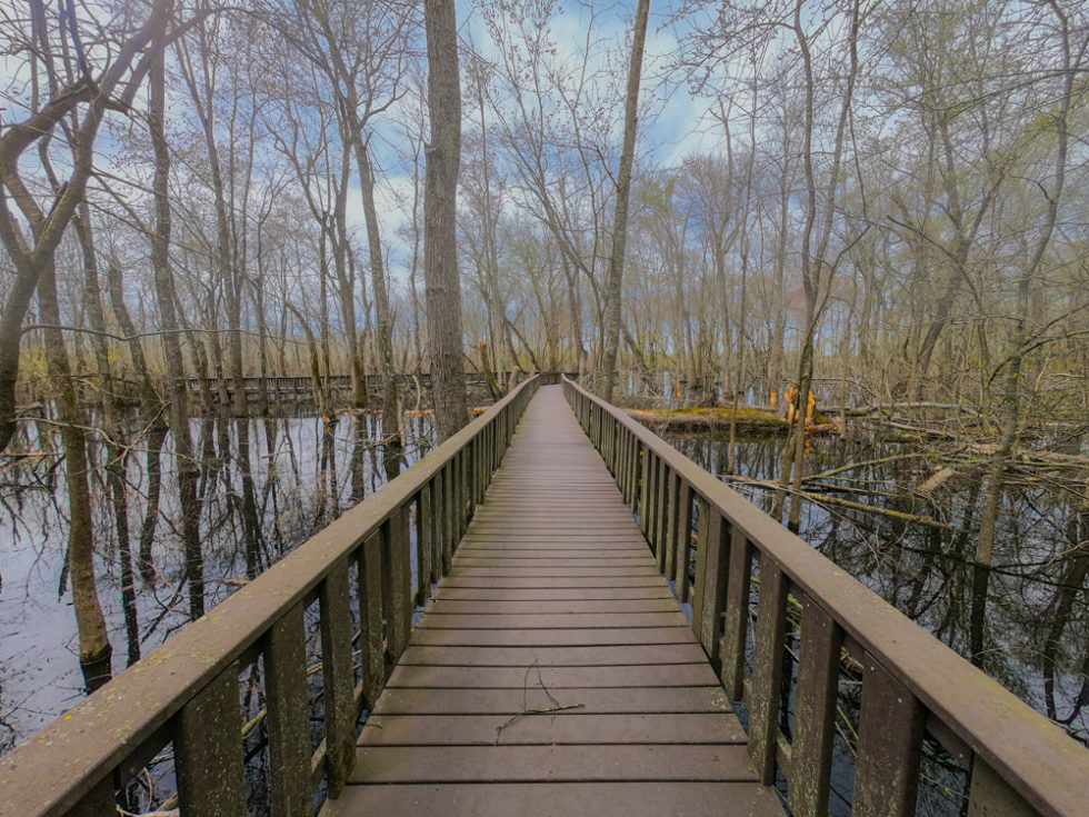 Mingo National Wildlife Refuge In Missouri With Time To Kill