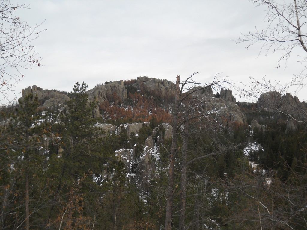 The Black Hills