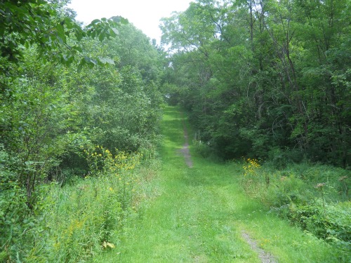 Tuscobia Trail Wisconsin
