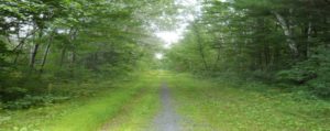 Tuscobia Trail