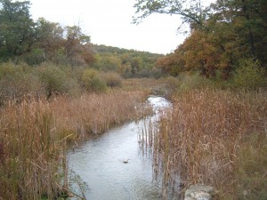 Scuppernong Creek Kettle Moraine