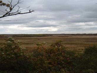 Scuppernong Kettle Moraine