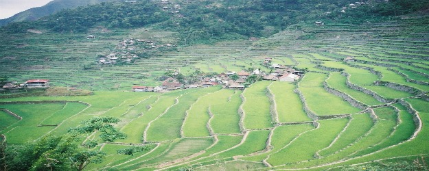 Batad Rice Terraces Philippines