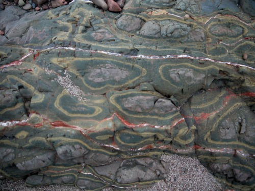 Lake Superior lichens
