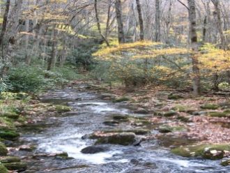 Great Smoky Mountains National Park