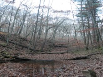 Hoosier National Forest