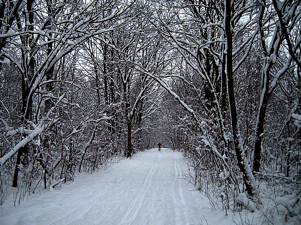 Chicago snowy trail