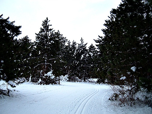 Wisconsin cross-country skiing