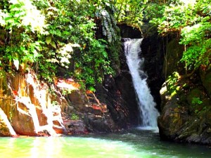 A Trinidad waterfall
