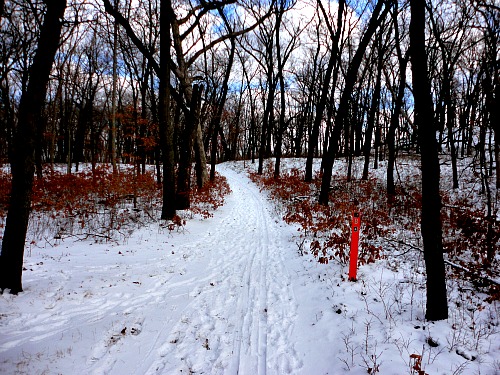Indiana Dunes State Park cross-country skiing