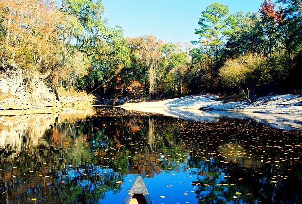 Suwannee River in Florida