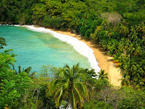 Trinidad & Tobago beach