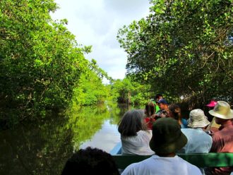 Caroni Swamp Trinidad & Tobago