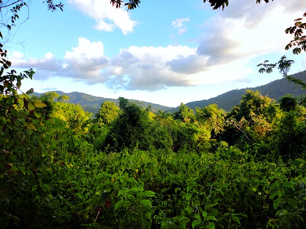 Chagauramas National Park Trinidad & Tobago