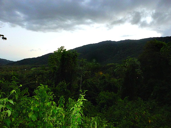 Chaguaramas National Park Trinidad & Tobago