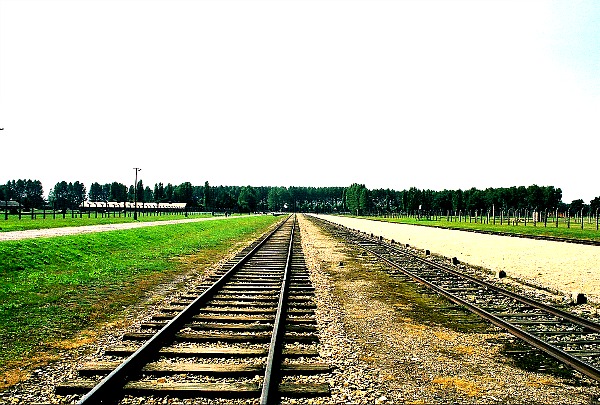 Railroad line into Auschwitz