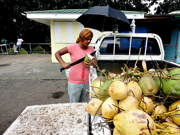 Coconut in Trinidad & Tobago