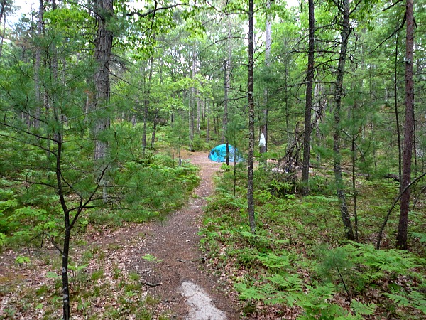 White Pines camp area