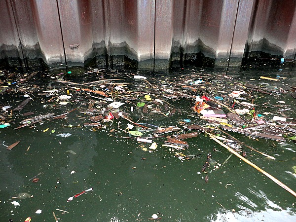 Chicago River clean