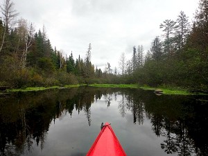 Kayaking the Brule River
