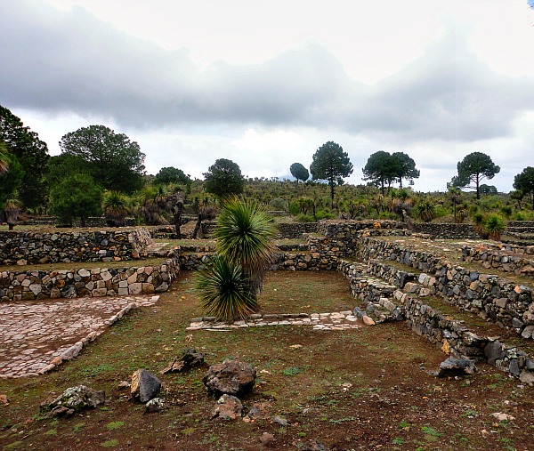 Cantona Olmec Ruins Mexico