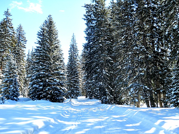 Solitude cross-country skiing Utah