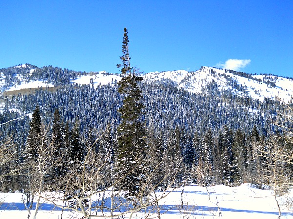 Solitude Ski Resort Utah