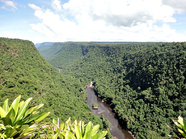 Potaro River Guyana