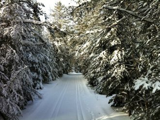 Ham Lake Ski Trail